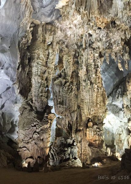 Travel Guide for Vietnam: Phong Nha caves