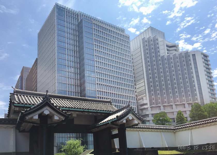 View from the Imperial Palace gate