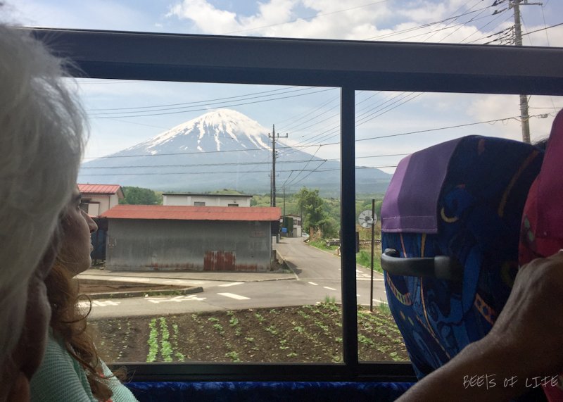 First sightings of Mt Fuji from the bus