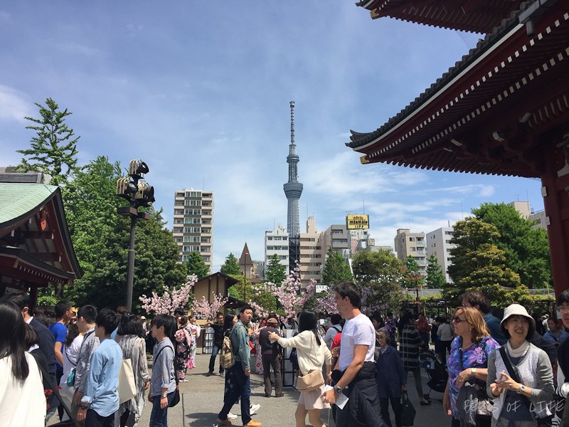 Skytree viewed from Sensoji temple