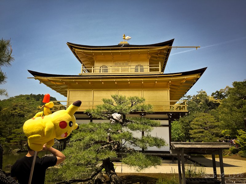 Temples and shrine to visit in Kyoto: Our guide, Pikachu, showing us the surreal gardens and stunning temple.