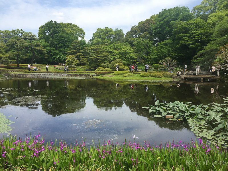 Quintessential Japanese Garden