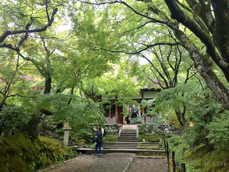 Temples and shrine to visit in Kyoto: Yup, THAT is the entrance.