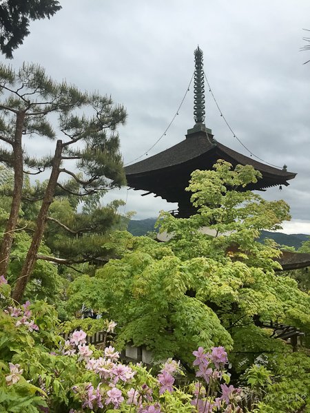A pagoda peeking through the tall trees