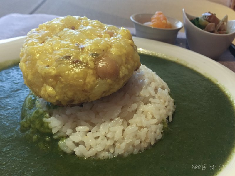 A colorful plate of spinach soup, brown rice and a veggie pattie!