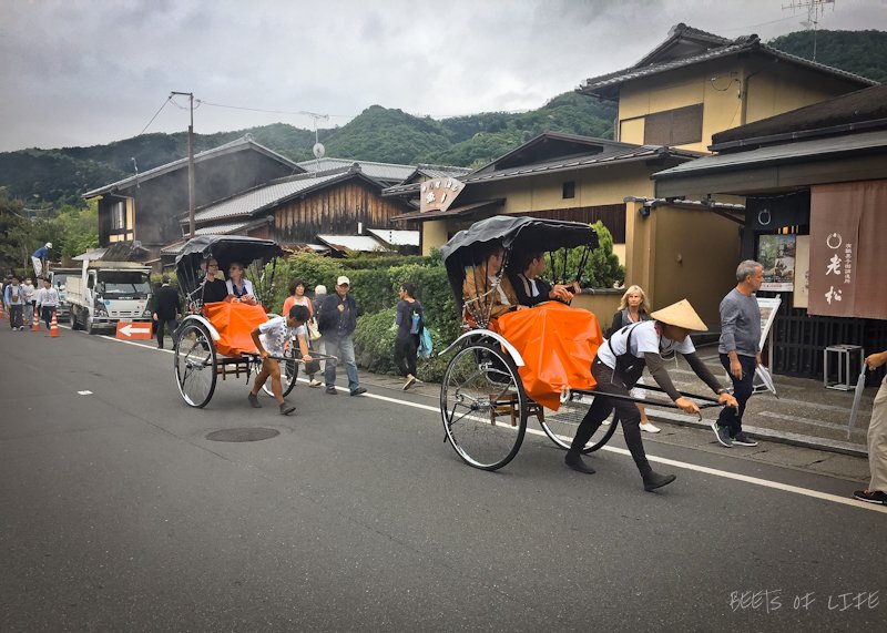There are hand pulled rickshaws in Arashiyama that people seems to enjoy. However, we are not sure if we like the idea of being pulled by another human when we have 2 legs of our own.